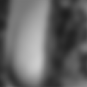 Sophie - rencontre-Cougar-Bergerac