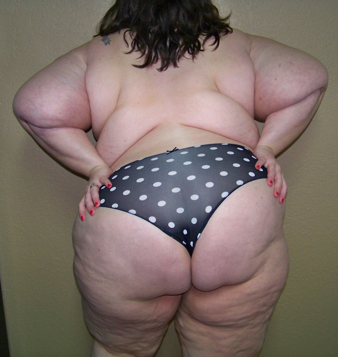 rencontre-Cougar-Montargis