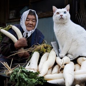 R مجموعة ائن Irwin Zaima - rencontre-Asiatique-Montauban